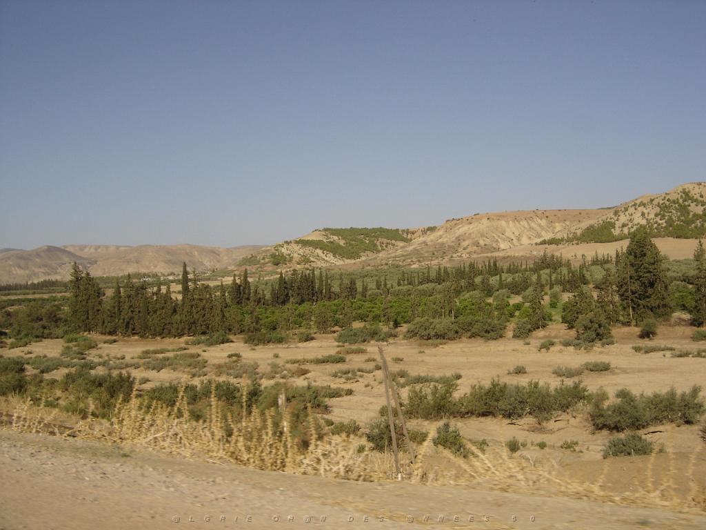 ROUTE ENTRE SAIDA MASCARA SEPTEMBRE 2006 06.jpg